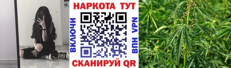 Цена Кохма Галлюциногенные грибы  Мефедрон  Канабис  A PVP 