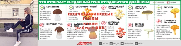 mix Богородицк