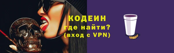 таблы Бородино
