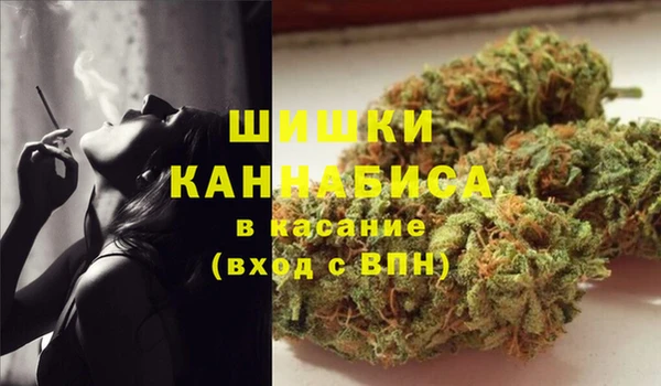 таблы Бородино