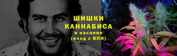 таблы Бородино